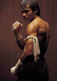 Profile: Tony Jaa