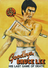 Goodbye, Bruce Lee: His Last Game of Death (1975)