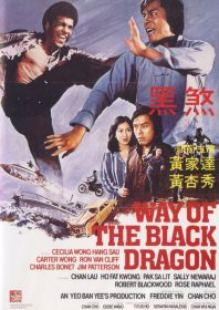 Way of the Black Dragon (1979)
