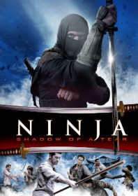 Ninja: Shadow of a Tear (2013)