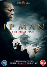 Ip Man: The Final Fight (2013)